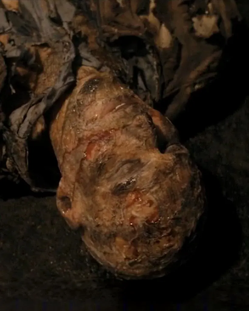 Dan V: Burn, injury & gore effects by Main Character Creations (photo 2)